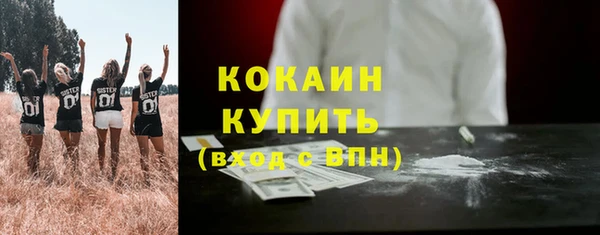 крисы Зерноград
