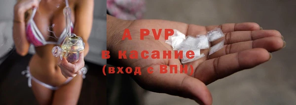 крисы Зерноград