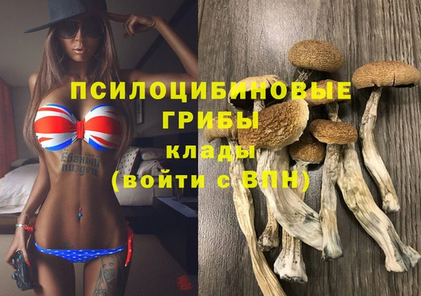 ПСИЛОЦИБИНОВЫЕ ГРИБЫ Зеленодольск
