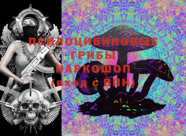 крисы Зерноград