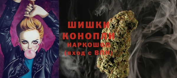 ПСИЛОЦИБИНОВЫЕ ГРИБЫ Зеленодольск