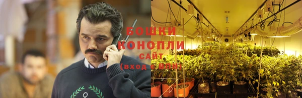 прущие грибы Инсар