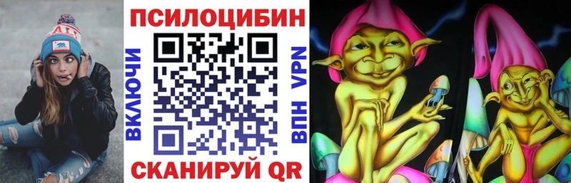 Галлюциногенные грибы Psilocybine cubensis  Купить где  Георгиевск 